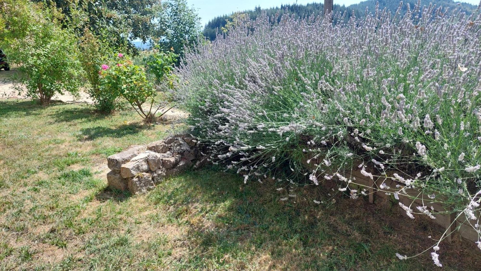 Grange De Sagne Maison Et Table D Hotes Avec Diner Sur Reservation Saint-Jean-Roure Exterior foto